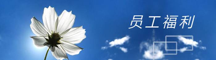 网站关键词