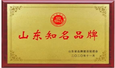山东知名品牌
